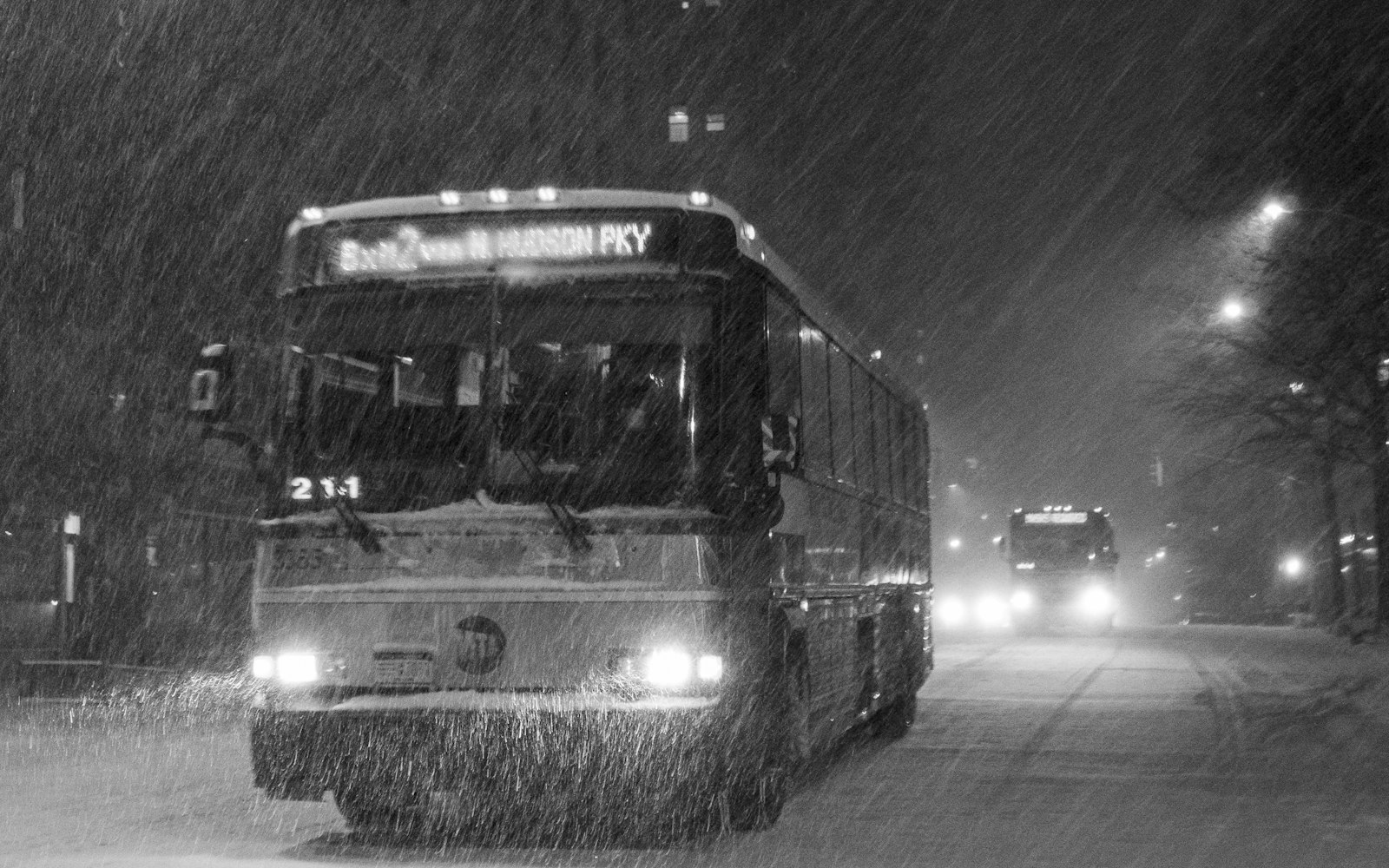 City bus on a Queens street, illustrating a bus accident lawyer in Rosedale explaining MTA and NICE bus claims