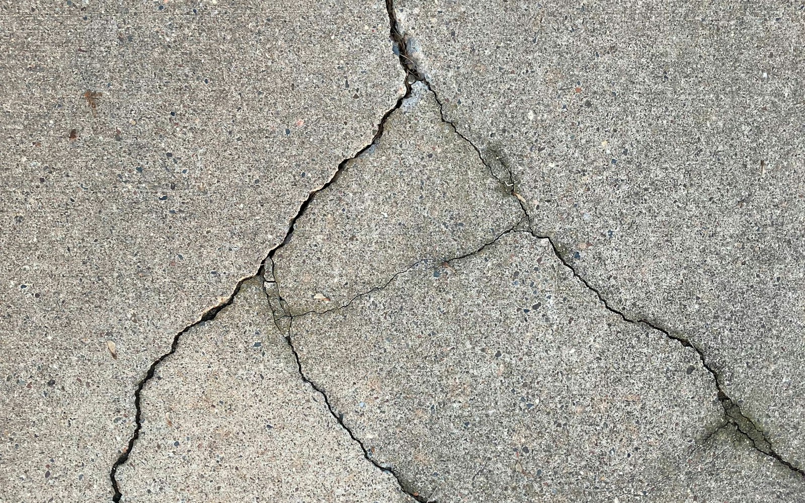 Cracked sidewalk lifted by tree roots, a common hazard in trip and fall accident lawyer cases in Rosedale