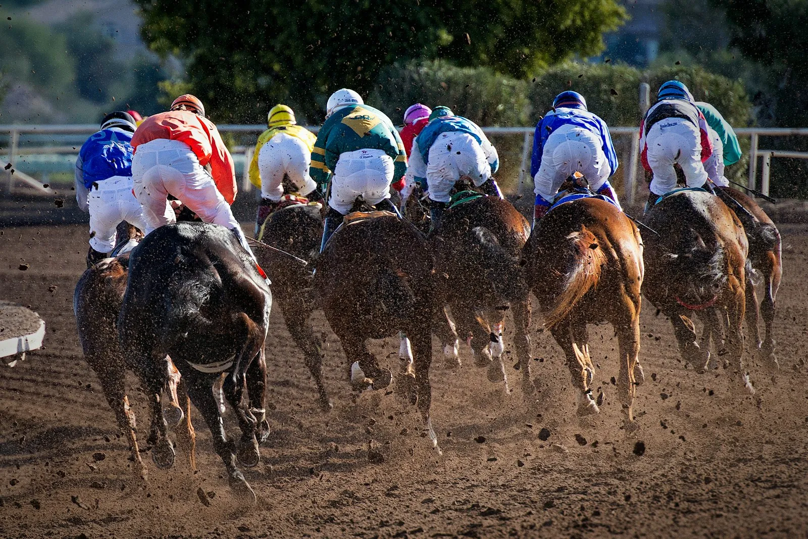 Jockeys racing horses around a dirt track, illustrating event traffic for an Elmont accident lawyer