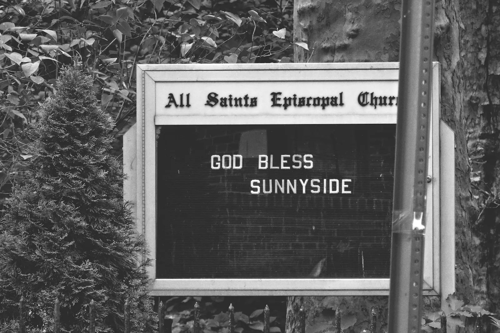Street sign among trees in Sunnyside, Queens