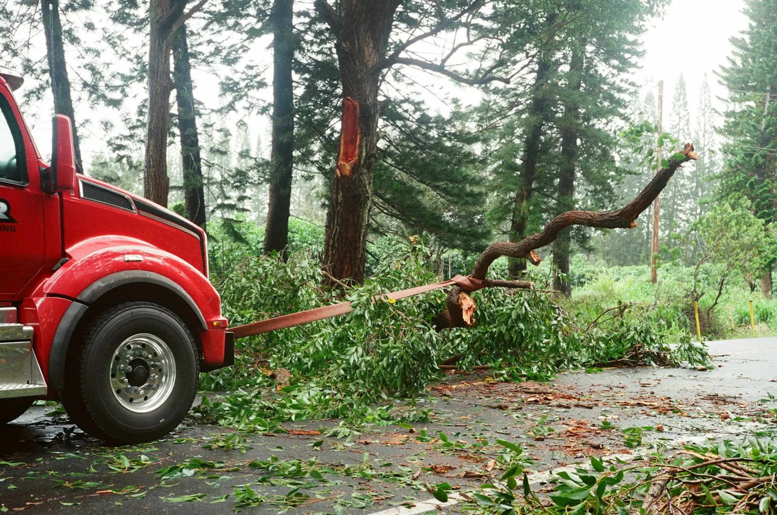 Rear End Collision Lawyer in Bellerose – red tow truck