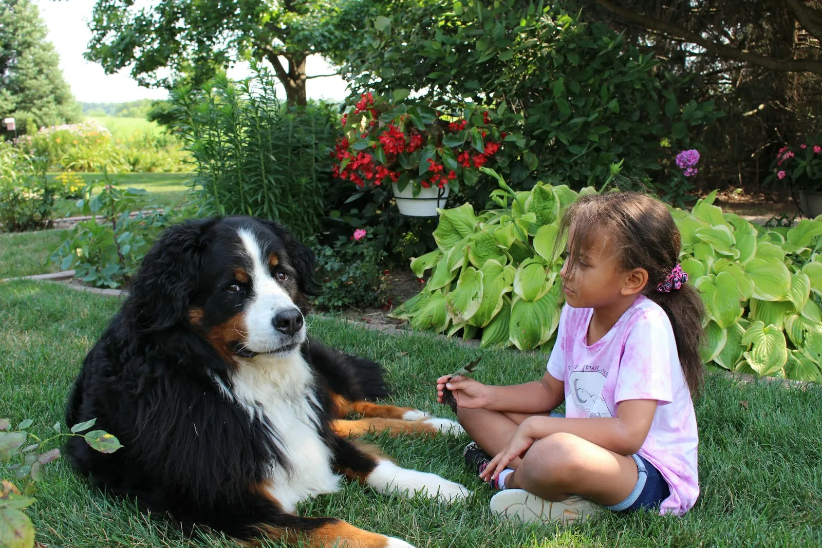 Jeune fille jouant avec un chien