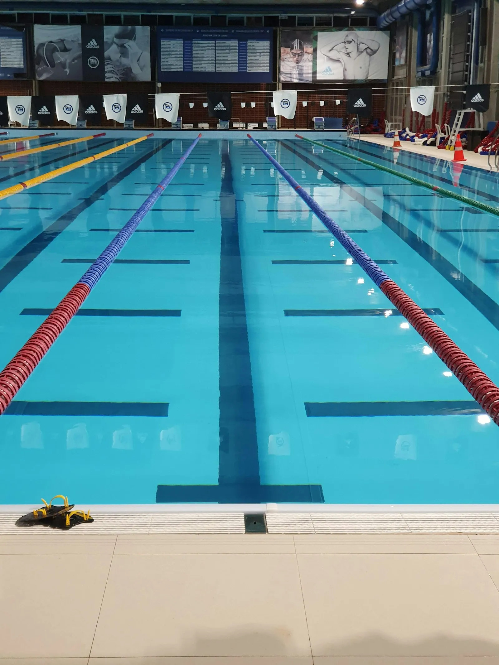 Indoor lap pool with lane lines, the kind of facility where a swimming pool accident attorney reviews lifeguard staffing